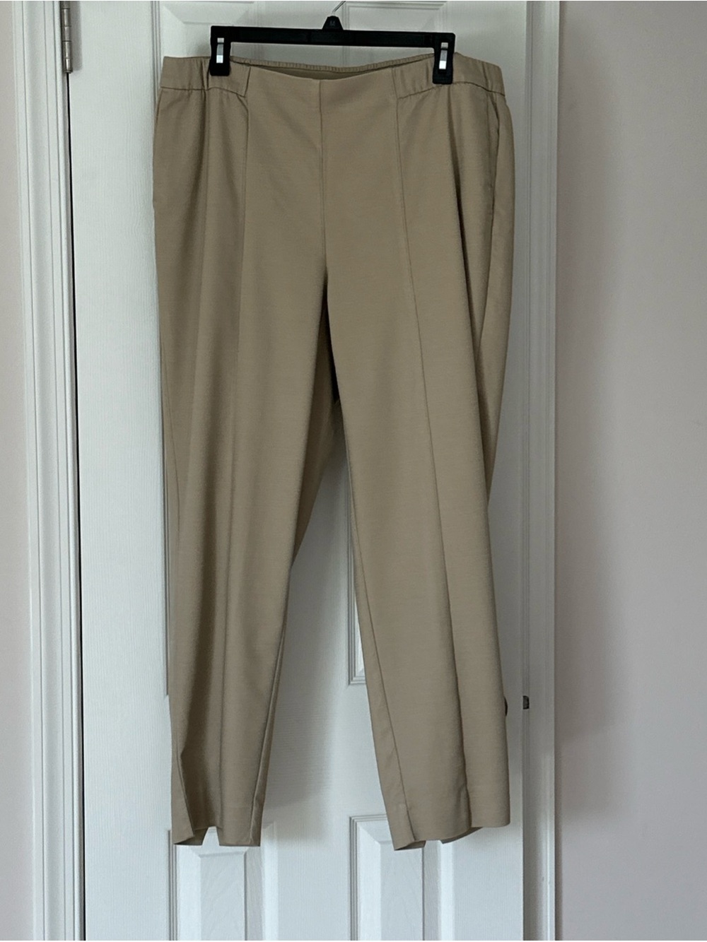 J.Jill Women’s Tan Pants size 16W